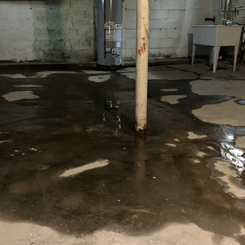 Emergency Water Extraction And Removal in Bairoa, PR